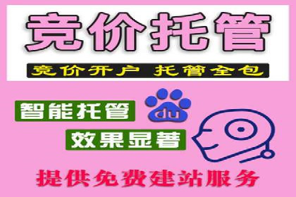 探索sem代运营机构的成功之路：以实际案例为鉴